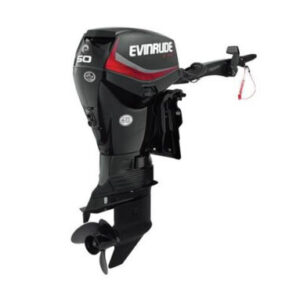2019 EVINRUDE 50 HP E50DGTL OUTBOARD MOTOR - Seapro Outboards