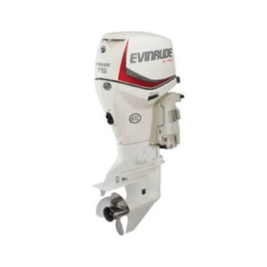 2019 EVINRUDE 75 HP E75DSL OUTBOARD MOTOR - Seapro Outboards